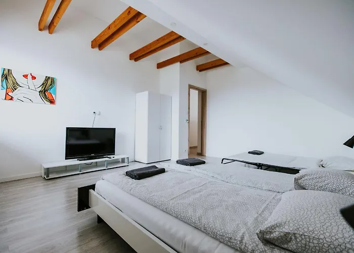 Steg 12 שיופוק